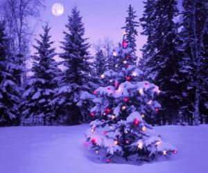 yapboz Gökyüzünde ay bir karlı manzara Noel ağaçları